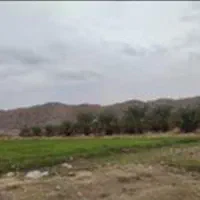 زمین رابر