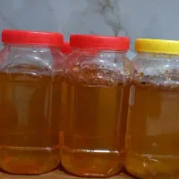 عسل چهل گیاه