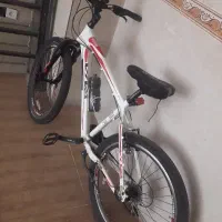 دوچرخه ویوا پونتو اصل تایوان