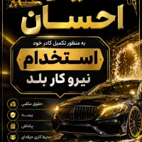 استخدامی کارواش