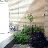 فروش یا اجاره ویلایی ۱۰۰ متر حیاط دار