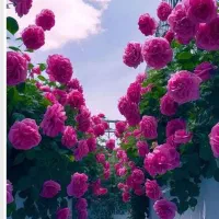 باغ ویلا وسوئیت در قلعه تل