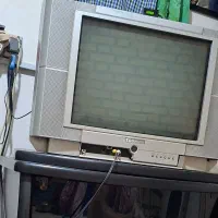 تلویزیون