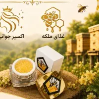 فروشنده خانوم مسلط به تولید محتوا