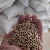 خوراک  مرغ بومی گلپایگان و صنعتی تخمگذار دان موجود