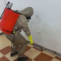 سمپاشی تخصصی کرمانشاه تحت نظر مهندسین مجرب