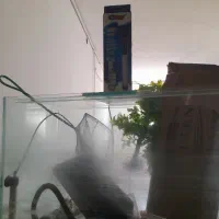 آکواریوم شیشه خم