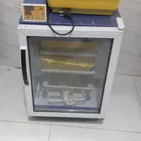 دستگاه جوجه کشی بلدرچین دماوند