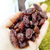 مویز سرخ / کشمش گوشتی ۴۴۹/۰۰۰ درمان کم خونی