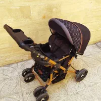 کالسکه دلیجان مدل بنیتا