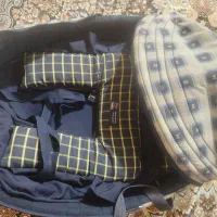 سیسمونی