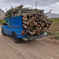 چوب و دخت