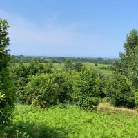 فروش زمین ویلایی۴۳۰ بیجارگاه با کاربری  و نسق