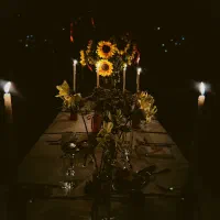 طراحی و اجرای تولد و مهمانی خصوصی