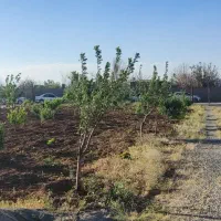 فروش-باغ