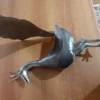 علم وعلامت