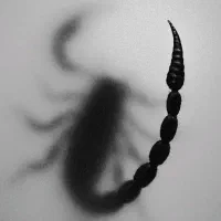 ساخت لوگو اختصاصی،بنر و پوستر تبلیغاتی