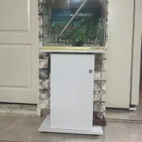 اکواریوم