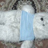 خرس بزرگ