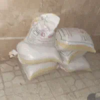 گندم دیمه