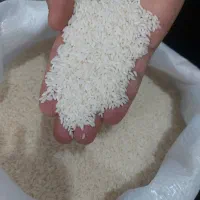 برنج و چای گیلان لاهیجان