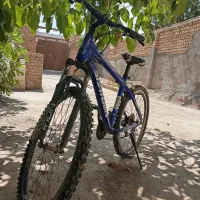 دوچرخه زانتوزا