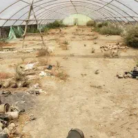 فروش-زمین-کشاورزی