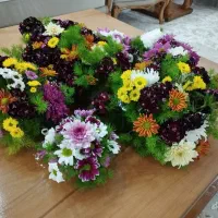 گل طبیعی|گل مصنوعی|مشهد, امیریه|دیوار