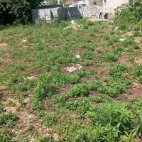 ۱۵۰مترزمین مسکونی نزدیک تمامی امکانات