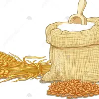 آردتازه