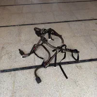 دوچرخه بر