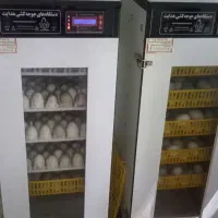 دستگاه جوجه کشی ۲۱۰ تایی