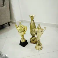 کاپ قهرمانی برنجی