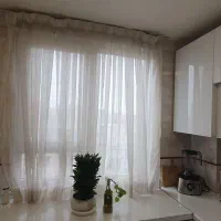دو عدد پرده