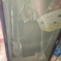 تلوزیون