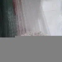 تورماهی گیری