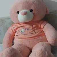 خرس بزرگ دومتری عروسک خارجی