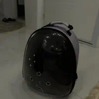 کوله پرنده و غذا پرنده