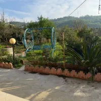 سوئیت در منطقه جنگلی  شیرگاه