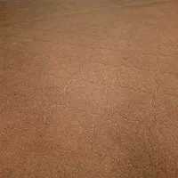 موکت
