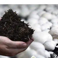 کمپوست و خاک پوششی