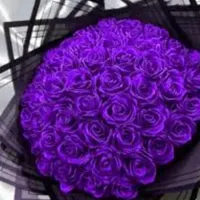 چت جواب گوه هستم|گل مصنوعی|کرمان, |دیوار