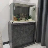 آکواریوم و پایه و لوازم