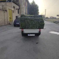 وانت مبلی/کارگر/پتو/سراسر ساوجبلاغ