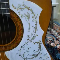 گیتار یاماهاc40