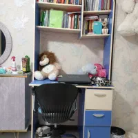 کتابخانه و میز تحریر