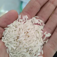 برنج هاشمی درجه یک