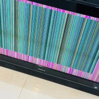 تلویزیون|تلویزیون و پروژکتور|بوشهر, |دیوار