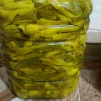 ترشی بیلهر