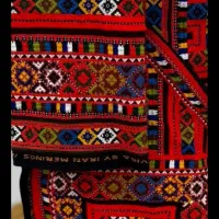 دوزنده لوتان